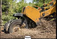 Stump grinder in operation